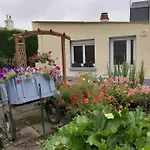 Les Coquelicots En Baie De Somme