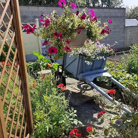 Les Coquelicots En Baie De Somme Hébergement de vacances Saint-Blimont