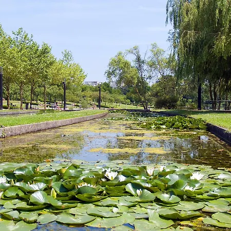 Les Coquelicots En Baie De Somme Saint-Blimont