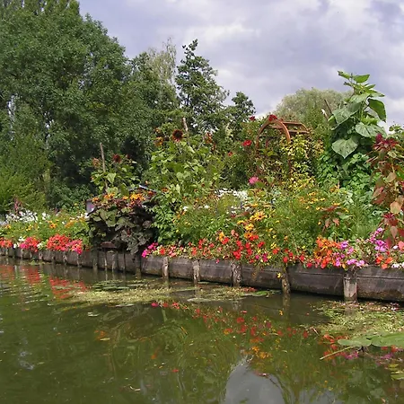 Les Coquelicots En Baie De Somme * Saint-Blimont